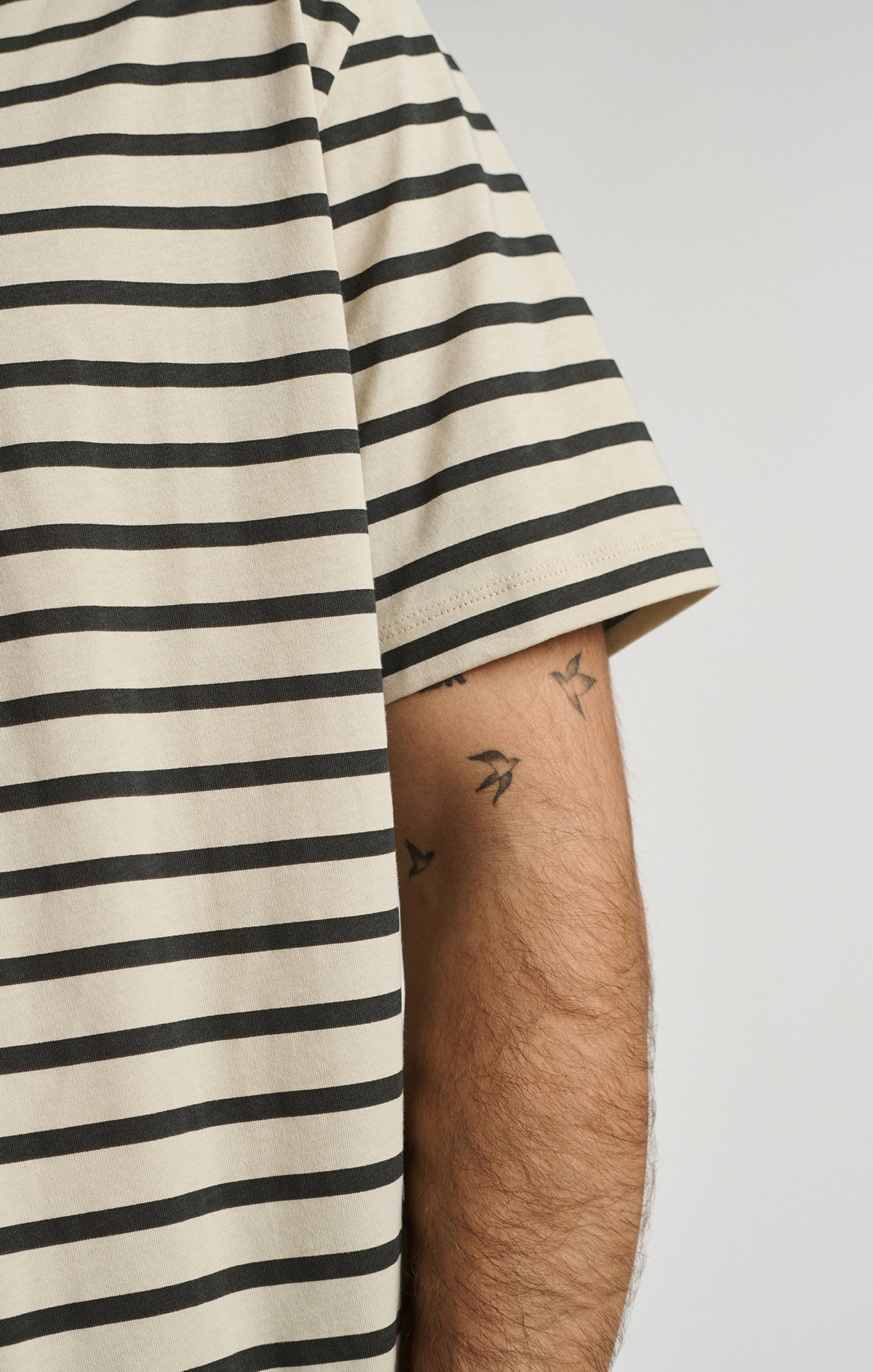 STRIPED SHORT SLEEVE CREW NECK T-SHIRT IN PELICAN - Mavi Jeans