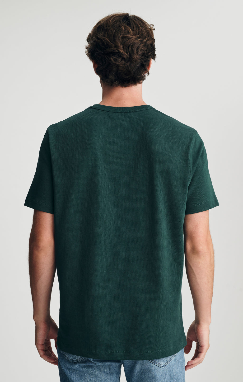 CREW NECK T-SHIRT IN PINE GROVE - Mavi Jeans